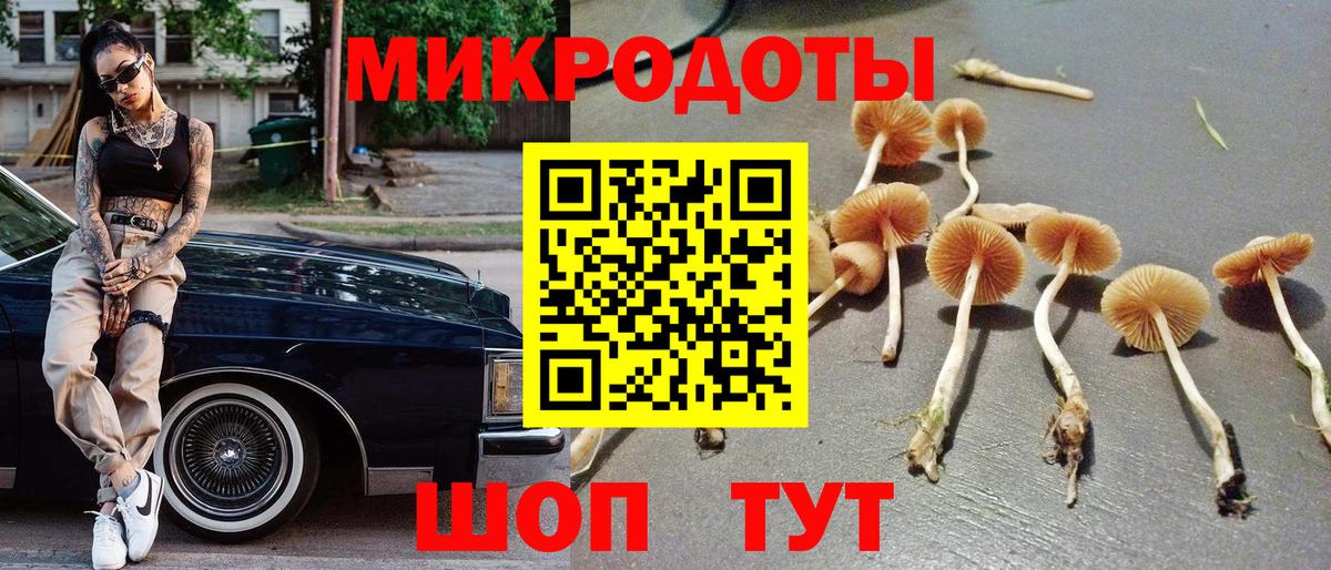 Советский  Галлюциногенные грибы Psilocybe  Вход с VPN 